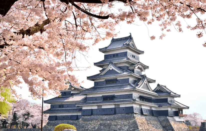 長野賞櫻景點｜2. 松本城